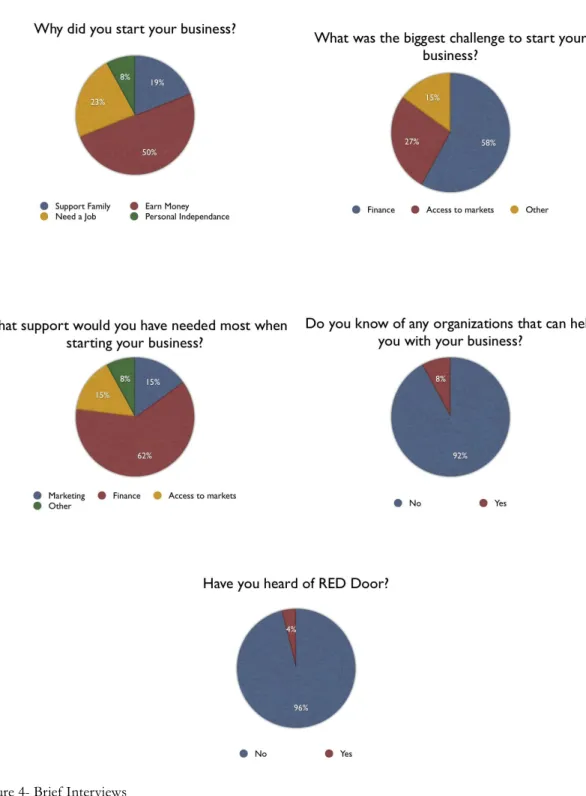 Figure 4- Brief Interviews 