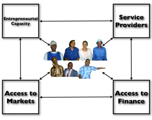 Figure 5- Elements Effecting Necessity Entrepreneurs 