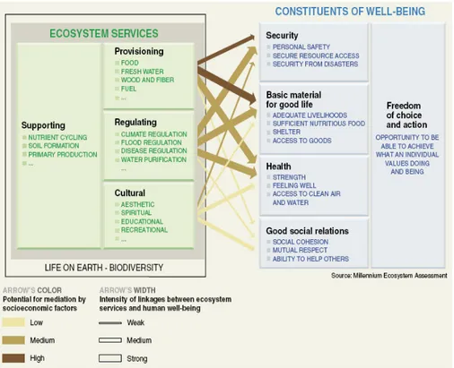 Figur 1. Relationen mellan ekosystem, hälsa och mänskligt välbefinnande,  (MEA, 2005, s