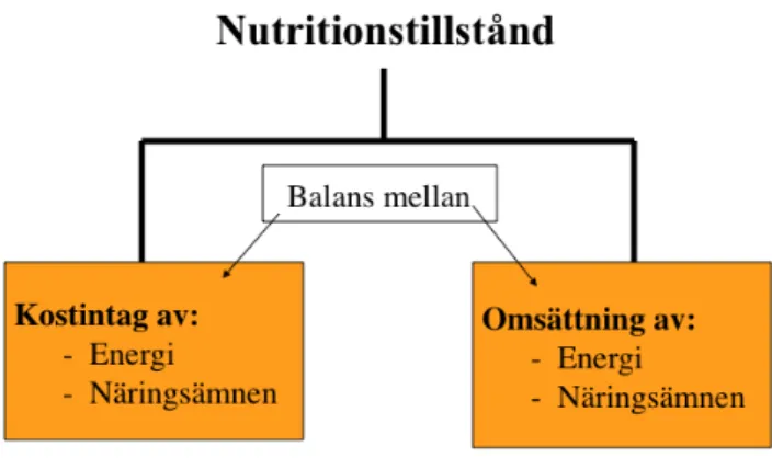 Figur 3 illustrerar att en persons nutritionstillstånd (kroppstillstånd) i princip baseras på en  balans mellan intaget och omsättningen av energi och näringsämnen