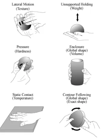 Fig 2. “Six manual exploratory procedures of the hand”         