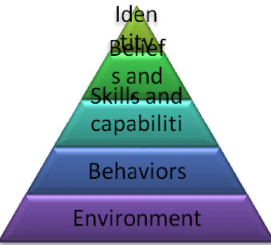 Figure 6 The NLM (Beech &amp; Chadwick, 2004) 