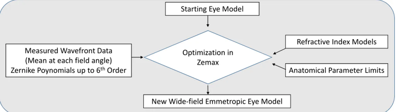 Fig. 4. Flow chart for the development of the generic eye model