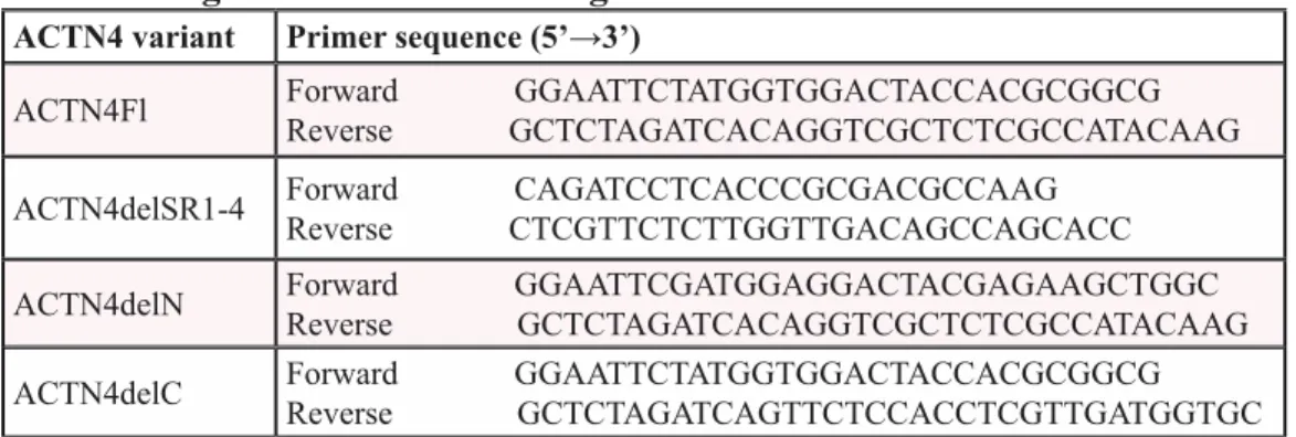 Table 1: Oligonucleotides used for generation of ACTN4 deletion variants
