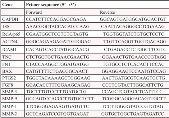 Table 2: Oligonucleotides used for amplification of cDNAs