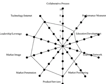 Figure 2: The ISM radar chart presenting results from a case study (Fruhling and Siau, 1996)
