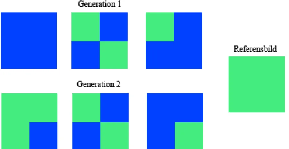 Figur 3. Målet är att få en individ som är helt grön vilket gör att individerna med  mest grönt i sig i generation ett får para sig mest vilket skapar generation två där  fler individer har mer grönt i sig