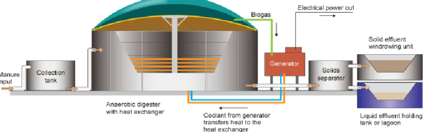 Fig 4. Typical Complete Mix Digester design- (Complete Mix Digesters,2009 )
