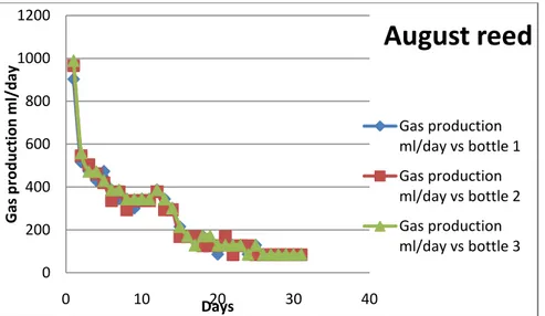 Figure 7. Gas production curve with reed from august as substrate. 