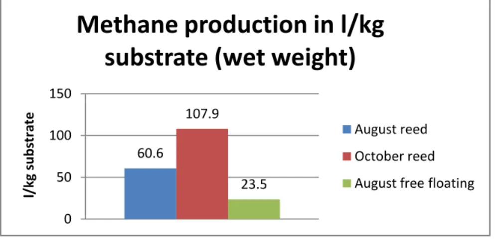 Figure 14. Methane production/kg substrate from different vegetation. Mean values of parallel bottles  
