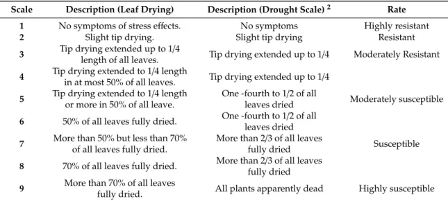Table 2. Leaf symptoms and corresponding drought score.