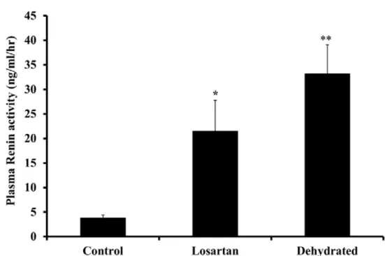 Figure 3. Plasma renin activity in control, losartan treated and dehydrated animals on day 20 of  dehydration