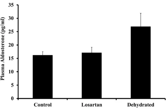 Figure 4.  Plasma aldosterone levels in control, losartan-treated and dehydrated camels on day 20  of dehydration