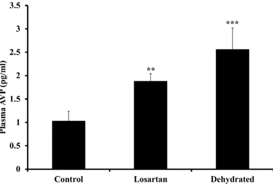 Figure 5.  Plasma arginine-vasopressin levels in control, losartan treated and dehydrated camels  on day 20 of dehydration