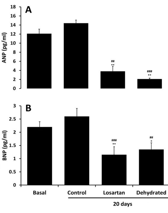 Figure 8.    Plasma levels of ANP (top panel) and BNP (lower panel) in pmol/L at baseline and 20  days  in  control,  losartan  treated  and  dehydrated  camels