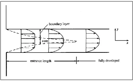 Figure 4 Steady flow between fixed parallel plates (Kundu et al., 2012) 