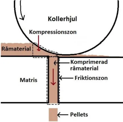 Figur 1. Illustrerar pelleteringssteget i pelleteringsprocessen. 