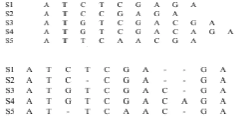 Figure 3. Sequences unaligned (top), sequence aligned using MSA (bottom) 5 . 