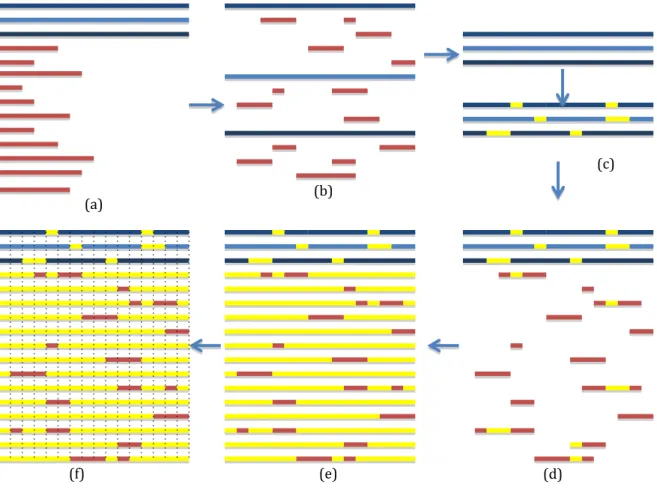 Figure 7. An overview of search and MSA construction phase. (a) The initial database sequences are the blue  and the initial fragments are the red