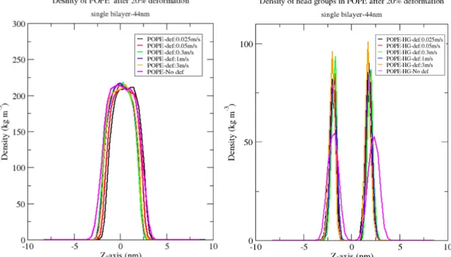 Figure  6.  Density  profile  of  POPE  in  single  bilayer  after  application  of  various  deformation velocities ( left) and the profiles density of the head groups in POPE  after application of various deformation velocities in single bilayer (right)