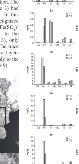 Figure 8. SEM images of the cemented layer sampled  at G1 in the impoundment at Laver.