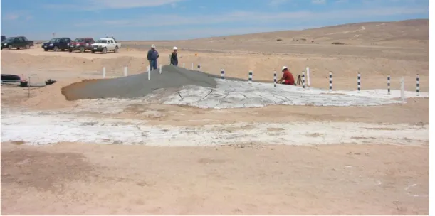 Figure 4. Pilot scale testing of Esperanza tailings project (Spiers, 2010) 