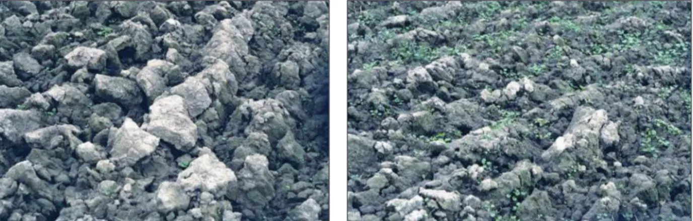Figure 28.2. Autumn-ploughed heavy clay soil in the following spring. The soil was compacted with a 21 tonne tandem axle load (tyre inflation pres- pres-sure 700 kPa) four months before autumn ploughing (left) or kept uncompacted (right)
