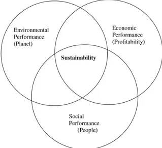 Figure 5.3: The three pillars of sustainability.