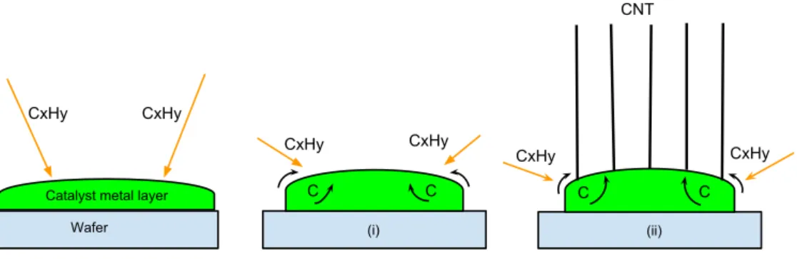 Figure 3: Illustration of the growth mechanism of CNTs.