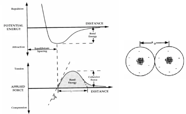 Fig. 1: Potential energy and force as a function of atomic separation [4]  