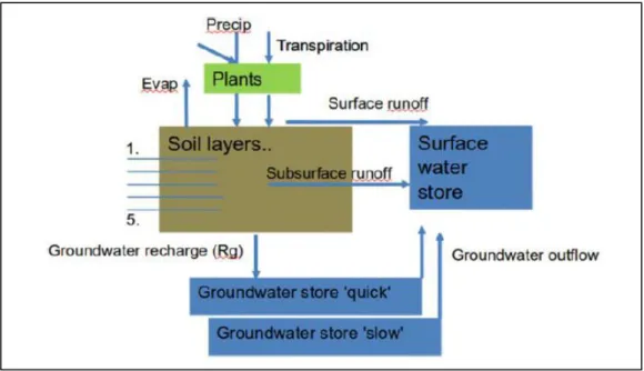Figure 7: The hydrology water routing scheme of LPJmL (Gerten et al. 2013). 