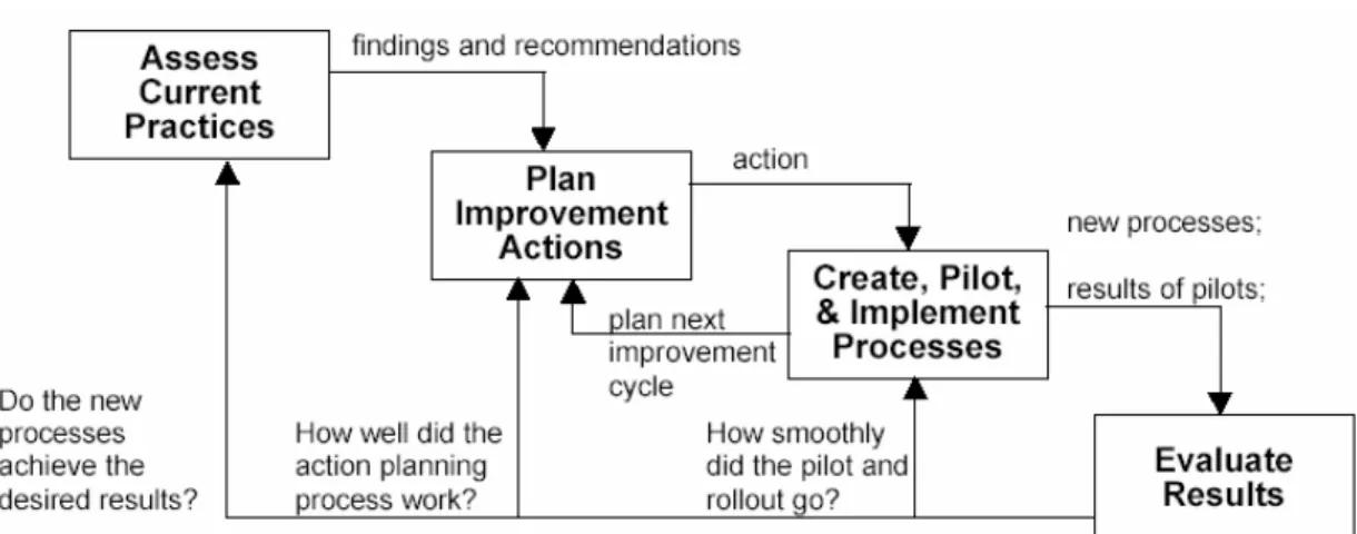 Figure 3-1, Process improvement lifecycle. 