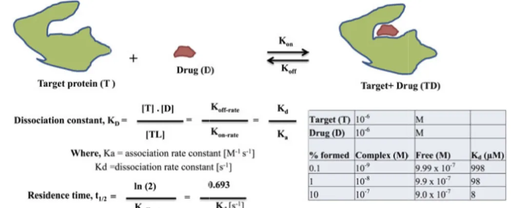 Figure 9: Drug-target interaction kinetics calculation and residual time. 