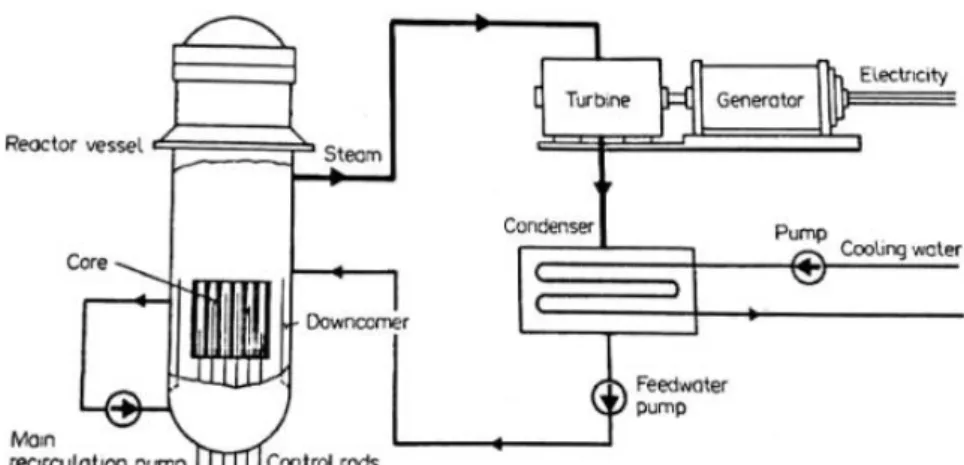 Figure 1. A boiling water reactor schematic [8] 