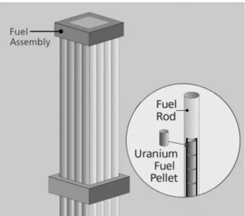 Figure 2. Illustration of a fuel assembly and its internal parts [10] 