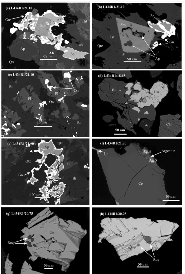 Figure 2. BSE images of accessory and REE-bearing minerals in studied samples. (a) Hexagonal apatite (Ap) and euhedral zircon  (Zrn) associated with sulphides; (b) Euhedral zircon (Zrn) with apatite inclusions, both in contact with biotite and sulphides; (
