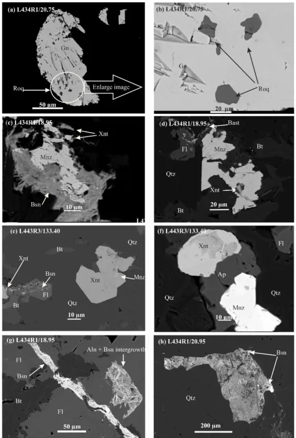 Figure 3. BSE images of indium and REE-bearing minerals in studied samples. ((a) ,  (b)) Roquesite (Roq) grains occur in galena, and  the images enlarged to emphasize the roquesite grains; (c) Monazite (Mnz) enclosed by acicular crystals of bastnäesite (Bs