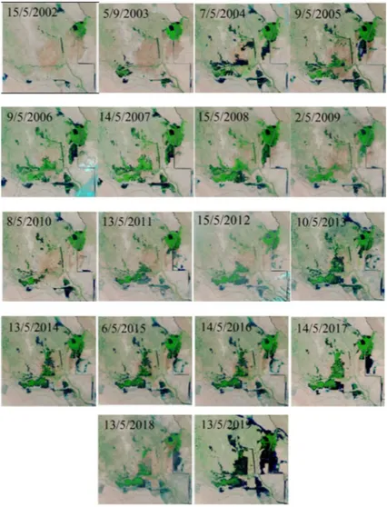 Figure 14. Changes of the area covered by the marshes for the period 2002 to 2019 ac- ac-cording to the availability of water