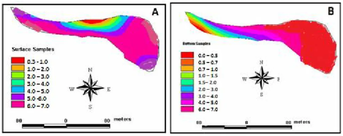 Fig.      12:  Suspended  sediment  concentrations  (g/l)  at  Deir  Al-Kahf  reservoir,  A:  surface  samples B: bottom samples