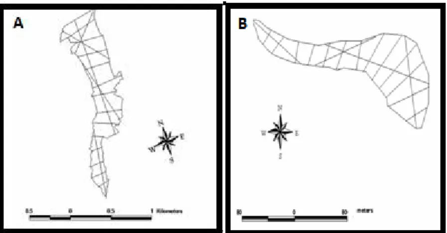 Figure 4: Echo sounding traverses along Burqu(A) and Der Al Kahaf (B) reservoirs. 