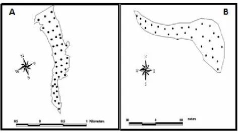 Fig 6: Location of bottom sediment samples, A:Burqu reservoir B:Deir Al-Kahf reservoir 