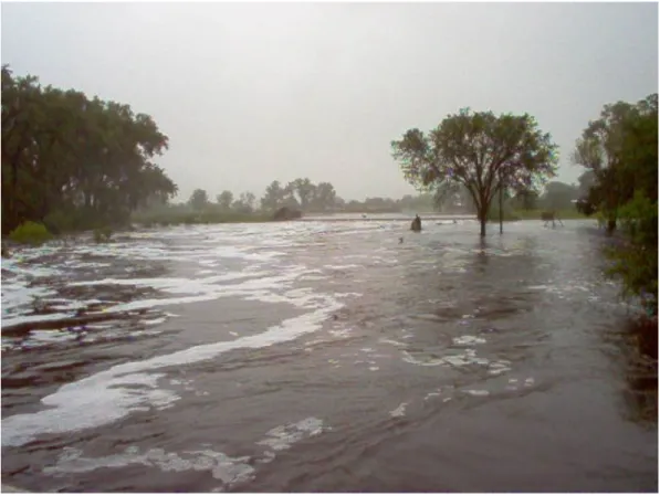 Figure 1.2. Atkinson Lake Recreation Area on 14 June 2010. This photo was taken during the  high flood stage