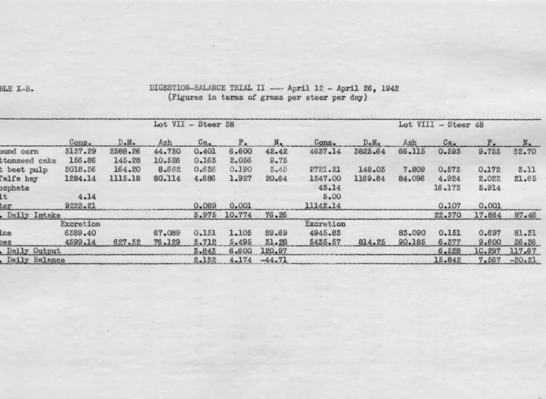 TABLE  X-B.  DIGESTION- BALANCE  TRIAL  II  - April  12  - April  26,  1942  (Figures  in  tenns  of  grams  per  steer per  day) 
