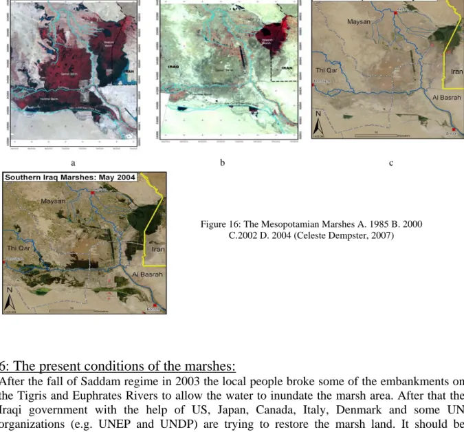 Figure 16: The Mesopotamian Marshes A. 1985 B. 2000  C.2002 D. 2004 (Celeste Dempster, 2007) 