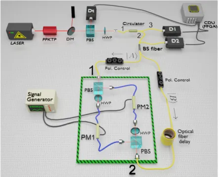 Fig. 1. Experimental setup for the polarization-independent single-photon switch. In the area inside the green border is the Mach-Zehnder structure housing both phase modulators to yield polarization independency