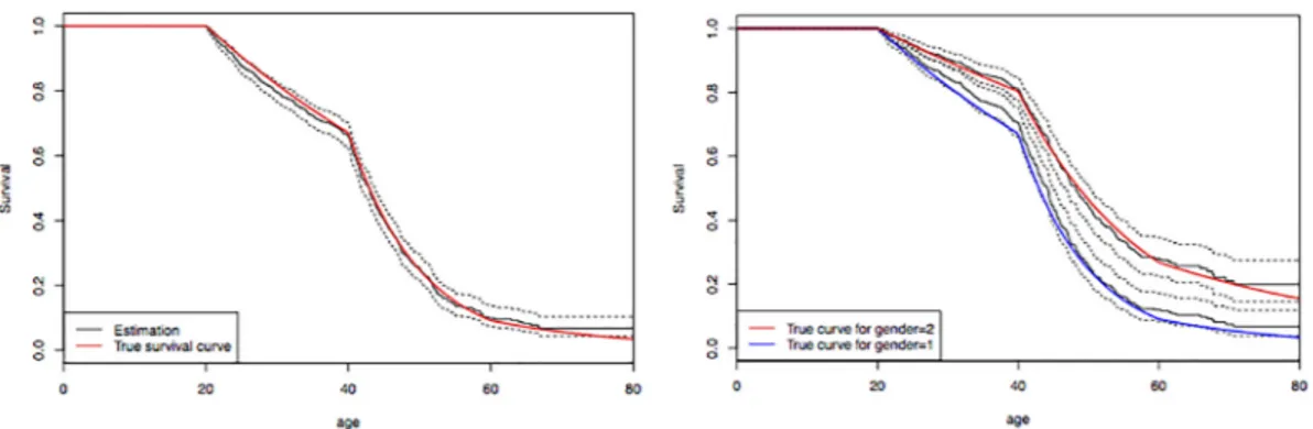 Fig 1. Simulated dataset. Reference and estimation of the survival function S(t) for carriers with 95% point-wise confidence intervals (dashed lines)