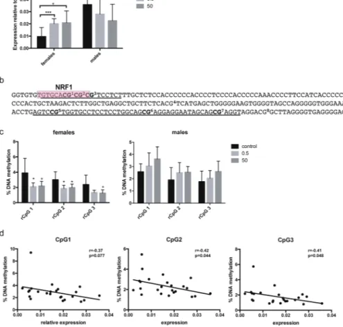 Figure 1.  Developmental BPA exposure leads to changes in Grin2b expression and methylation in  hippocampus of female rats one year after exposure had ceased