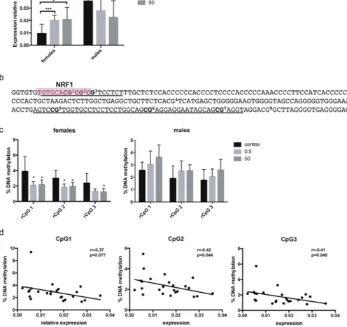 Figure 1.  Developmental BPA exposure leads to changes in Grin2b expression and methylation in  hippocampus of female rats one year after exposure had ceased