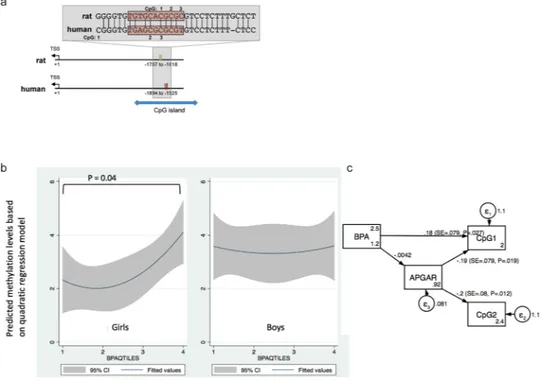 Figure 2.  Relationship between GRIN2B methylation patterns and prenatal BPA levels. (a) Genomic location and  sequence of the region analysed for DNA methylation relative to the transcriptional start site (TSS) of rat and  human GRIN2B