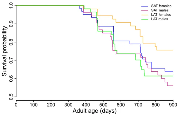 Figure 1. Lifespan data for all fish up to 24 months of age is shown with a clearly reduced lifespan in SAT females compared to LAT females but a less clear difference between SAT and LAT males.
